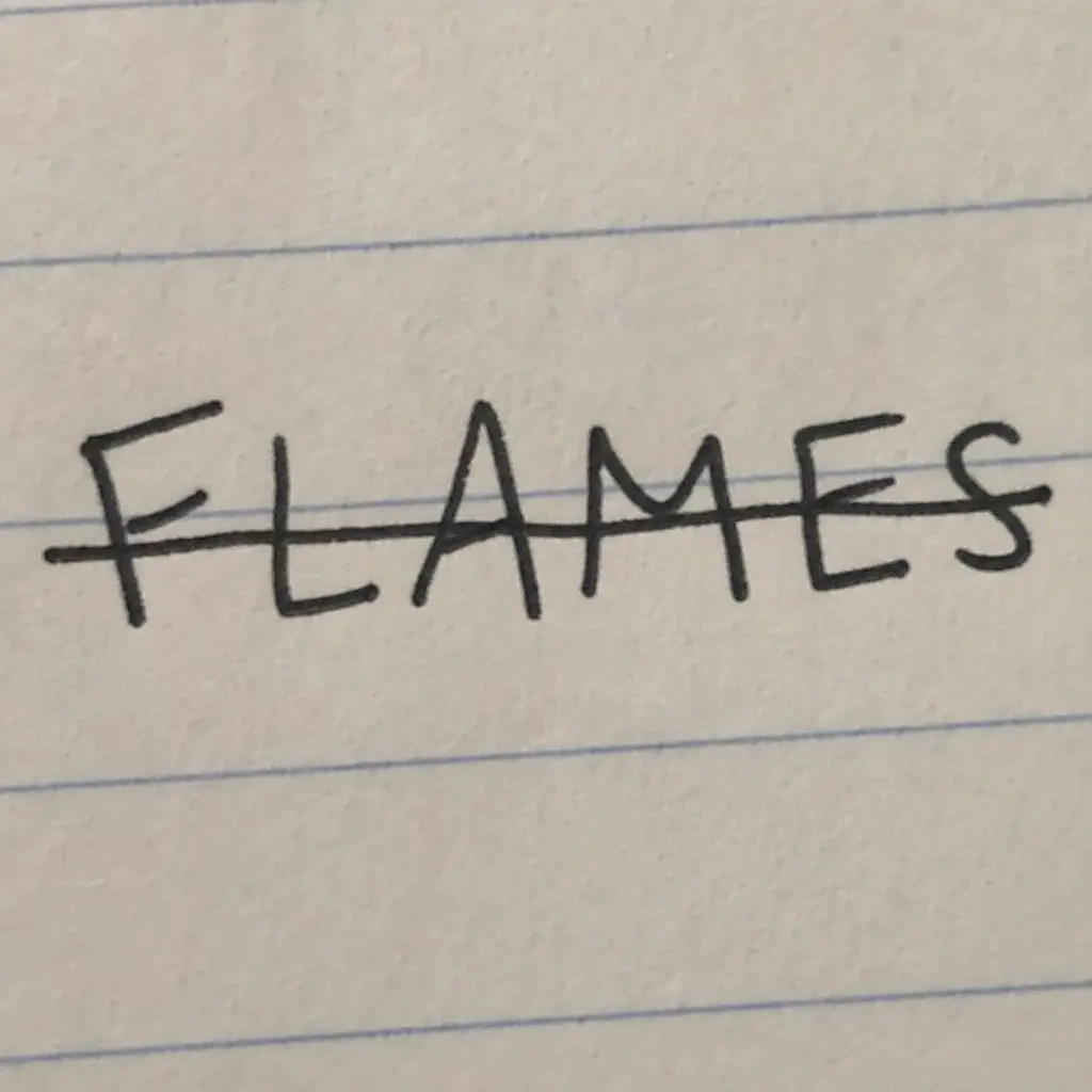 A close up of a piece of paper showing the word FLAMES with letters crossed out